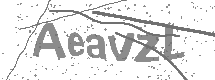 visual captcha